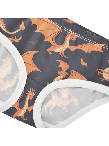 ZZKKO Cartoon Flying Dinosaur Girls Underwear Toddler Panties for Girls Comfort Brief Size 2-8T4