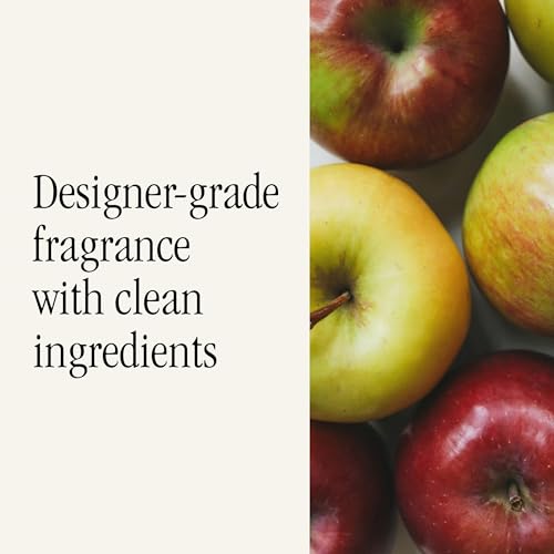 Image of Pura Car Scent Refill, Apple Orchard | Fragrance for Pura Car Diffuser, Clean and Safe Luxury Diffuser Scent, Long-Lasting Fragrance for 30 Days of Aroma