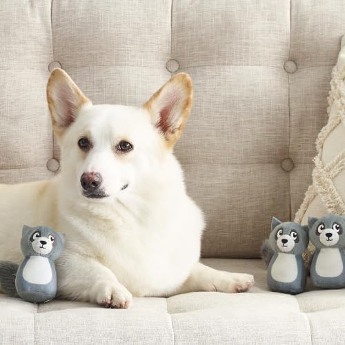 Image of Outward Hound Squeakin' Raccoon Hide A Puzzle Plush Replacement Dog Toys - 3 Pack
