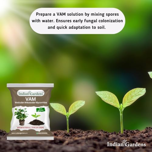 Image of Indian Gardens - VAM (Vesicular Arbuscular Mycorrhiza) Bio fertilizer for All Plants | Root Growth Booster | Organic Plant Food (200 Grams)