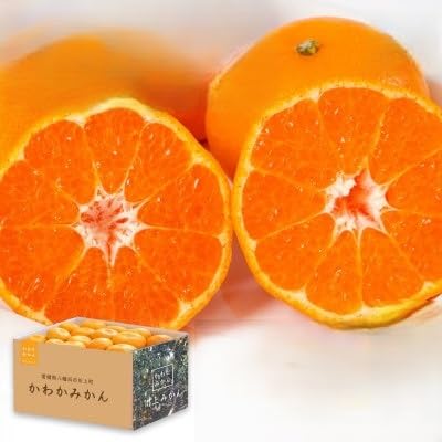 [期間限定!寄付額改定](天皇杯受賞産地)川上みかん 約5kg(訳あり)(C25-247)