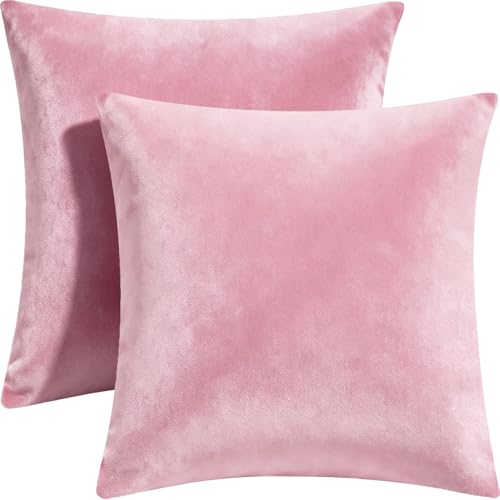 Bunliuys 2 Pack 18x18 Pillow Cover Velvet Pillow Covers, Throw Pillow Covers for Living Room Decorations Throw Pillow Case, Throw Pillow Cover Cushion Cover for Sofa Bedroom Car, Bright Pink