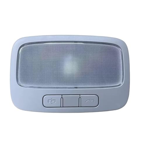 Lámpara de techo para coche con mandos de luz rotos en Hyundai H1 Starex I800