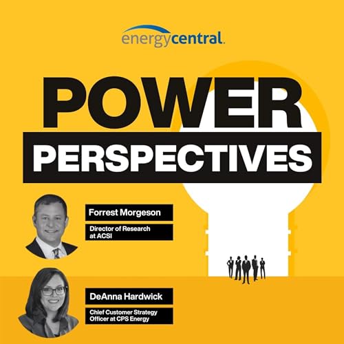 『How to win customers and influence affordability』のカバーアート