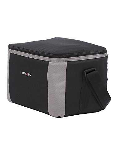 Image of BagsRUs Black Polyester 11 Liter 12 500ml Cans Portable Travel Chiller Cooler Bag with 2 Free ice Packs (CH104FBL)
