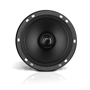 BOSS Audio Systems BRS65 6.5 Inch Replacement Car Door Speaker – 80 Watts Max, Sold Individually