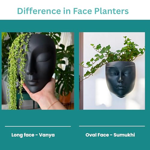 Image of Ceramic Lady Face Wall Hanging Planter (7 Inches, White) | Abstract Face Vase for Indoor Plants | Succulent Planter for Living Room, Balcony & Office Decor | Aesthetic Home Decor Gift