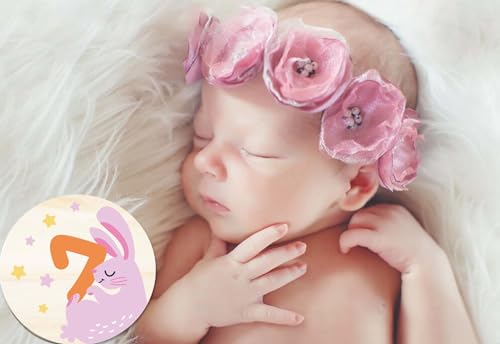 Image of Wooden Baby Monthly Milestone Cards with Birth Announcement Sign Newborn Photography Props Baby Shower Gifts for Boys and Girls (Monthly Milestone Cards)