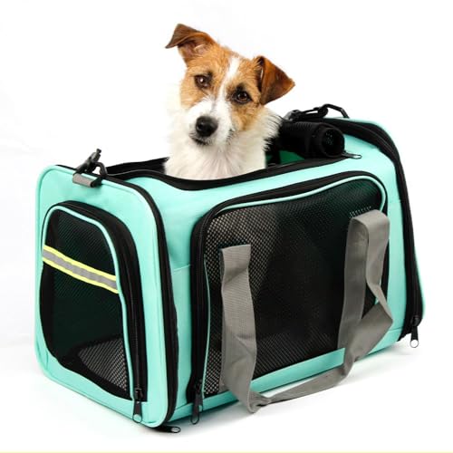 Bolsa de Transporte Para Pet Cachorros e Gatos com Ventilação Viagem Avião Passeio (verde)