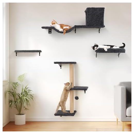 Durable Cat Wall Shelves for Climbing