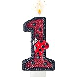 HXOUSE Ladybug Number 1 Birthday Candles - Red & Black Polka Dots Birthday Candles for Cake, 1 Candle for Ladybird Theme Cake Topper, Boys Girls Insect Party Decorations Gifts (No.1)