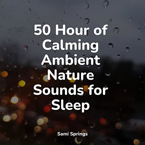 50 Hour of Calming Ambient Nature Sounds for Sleep di Internal Yoga ...