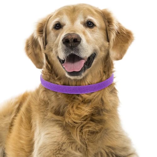 Collares para gatitos y cachorros recién nacidos con cierre de seguridad textil 5