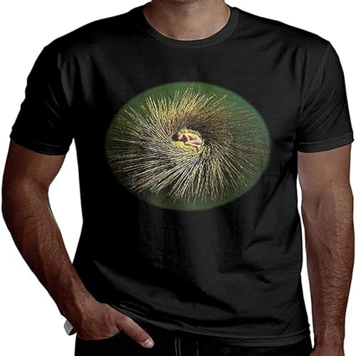 Photo de Man Peter Gabriel - Ovo Combed Crewneck Short-Sleeve T-Shirt Cool Tee Black XL