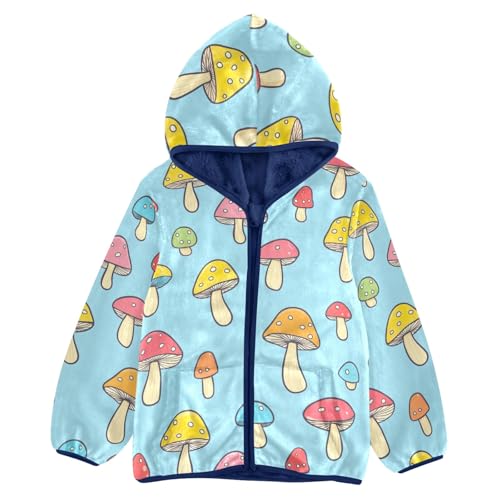 CHIFIGNO Girls Boys Fleece Hoody Jacket Cute Boys Jackets Boys' Outerwear Jackets Coats with Pockets for Toddler and Kids