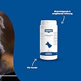 Canina Knoblauch Pulver, 1er Pack (1 x 0.7 kg)