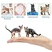 EYSCOTA 12PCS Cat Figurines, Plastic Cat Figures Realistic Kitten Toys, Cat Cake Toppers Easter Egg Birthday Gift for Kids & Children