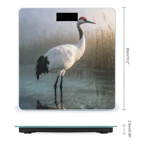 Báscula Digital Majestic Crane para Hogar hasta 180 kg miniatura 2