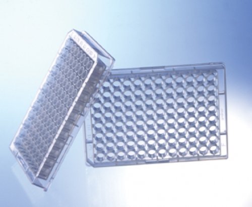 Greiner Bio-One 655801 Clear UV-Star Microplate, Flat Bottom, Chimney Style, 96 Well (Pack of 40)