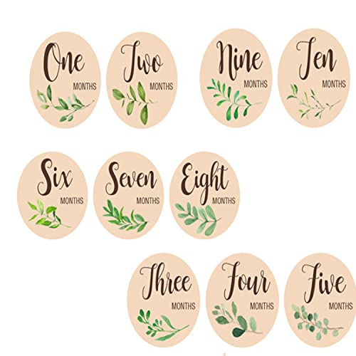CAVLA Monthly Milestone Cards Sign - Perfect Newborn Photography Props, 10 Double Sided Marker Wooden Circles Discs, Baby Announcement Sign for Photo Prop Shower Nursery - Image 3