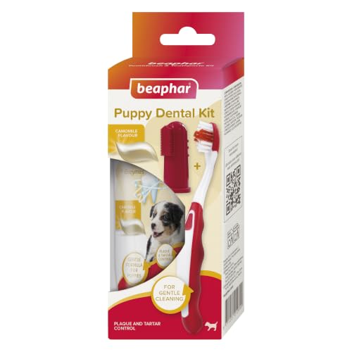 Beaphar - Puppy Dental Care Kit - Toothbrush Finger Brush & Camomile-Flavoured Toothpaste with Enzymes - Helps Control Plaque & Tartar - 1x Brush 1x Finger Toothbrush & 50g Toothpaste