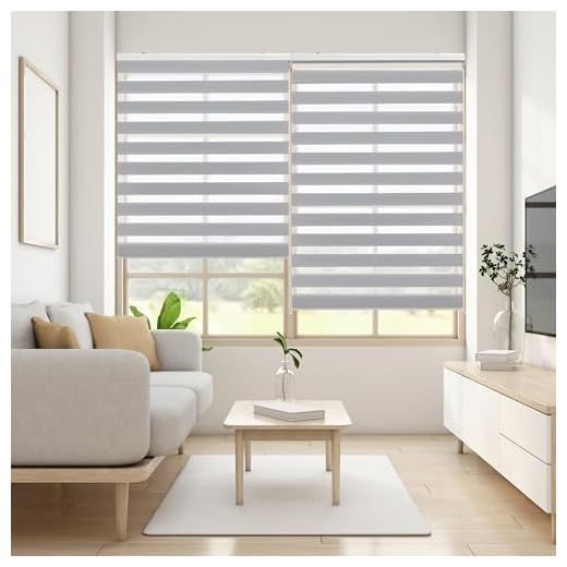 Blindecor Lira estor enrollable noche y día, color Gris plata, estor de 120 x 250 cm (ancho x alto). Tamaño de la tela 117 x 245 cm. Estores noche y dia elegantes