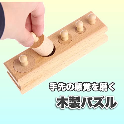 D・STONE『モンテッソーリ円柱さし』