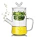 QYYYUNDING Czajnik, czajnik szklany Teapot Zestaw herbaciany filtr Teapot Zimna butelka z wodą 550 ml herbat