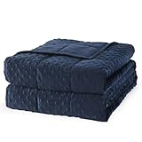 Mr. Sandman Weighted Blanket for Adults Queen, Minky Heavy Blanket for Woman,Man Sleeping/Calm, Soft and Cozy Weighted Throw Blankets, Machine Washable, 60 x 80in, 15 lbs, Navy Blue