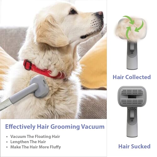 Professional-Pet-Grooming-Vacuum-KitSuction-99-Pet-HairElectric-Clippers-with-5-in1-Grooming-Tools-Kits-for-Shedding-Grooming-Home-Cleaning2L-Dust-CupQuietPet-Friendly - Cucciolini Doodles   Professional-Pet-Grooming-Vacuum-KitSuction-99-Pet-HairElectric-Clippers-with-5-in1-Grooming-Tools-Kits-for-Shedding-Grooming-Home-Cleaning2L-Dust-CupQuietPet-Friendly