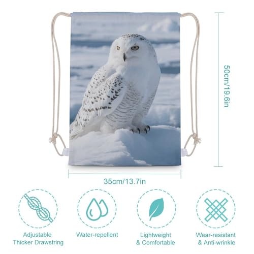 Snowy Owl on The Ice Drawstring Backpack - Canvas Sports Gym Sackpack, Lightweight String Bag for Beach & Travel2