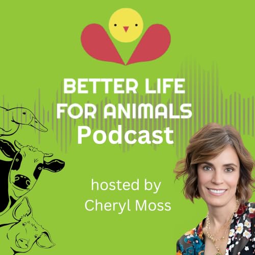 Better Life for Animals copertina
