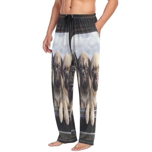 ALAZA Men's Three Pug Chihuahua Puppies on The Truck Sleep Pajama Pant4