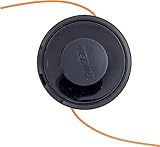 Echo