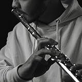 Baby Stop (Flute Beatbox Version)