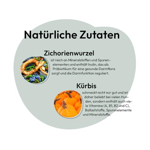 GRAU – das Original – Trockengemüsemischung mit Obst zum BARFen für Hunde - 'Mischung Nr. 1', 1er Pack (1 x 500 g), Ergänzungsfuttermittel für Hunde