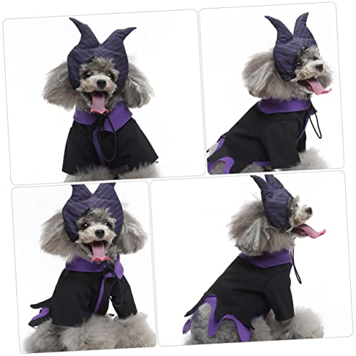 Disfraz de Bruja para Perro Beavorty Talla S miniatura 5