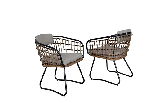 Outdoor Wicker Dining Chairs Set of 2, Cushioned Rattan Armchair