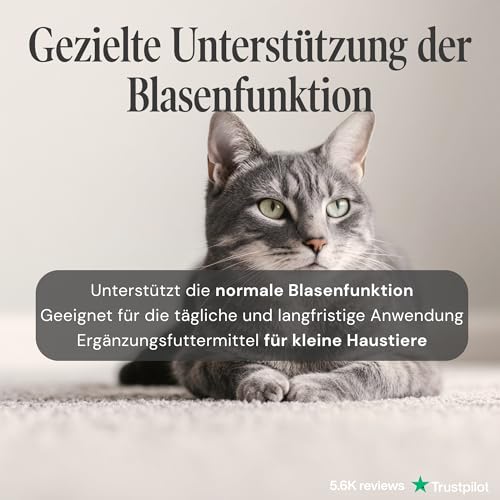 Sensipharm Inconti Stop - Inkontinenz & Blasenschwäche bei Katzen, kleinen Hunden, Meerschweinchen & Kaninchen - pflanzliche Blasen- & Harnwegshilfe bei Harnverlust - 90 Tabletten à 250 mg