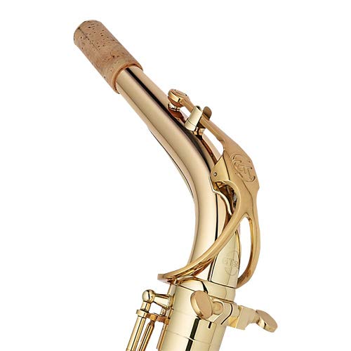 Amazon.com: GT Sax Professional Alto Saxophone, Brass in Gold