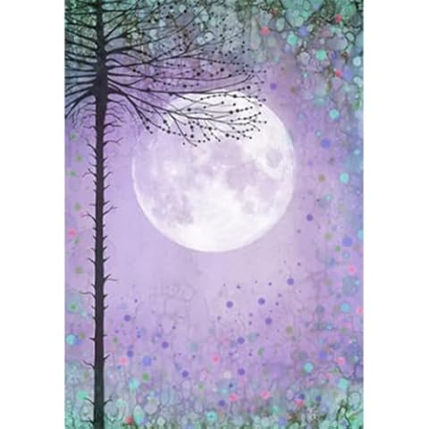 Misty Morning SceneScapes by Lavinia Stamps Cover