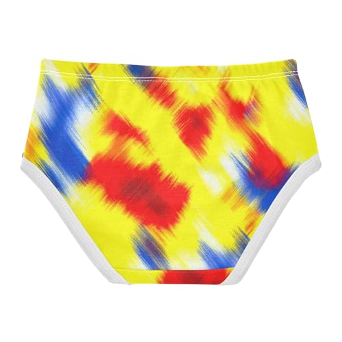 Abstract Colorful Gradient Panties for Girl Toddler Girls Underwear Cotton Print Briefs Girls Undies 2t2