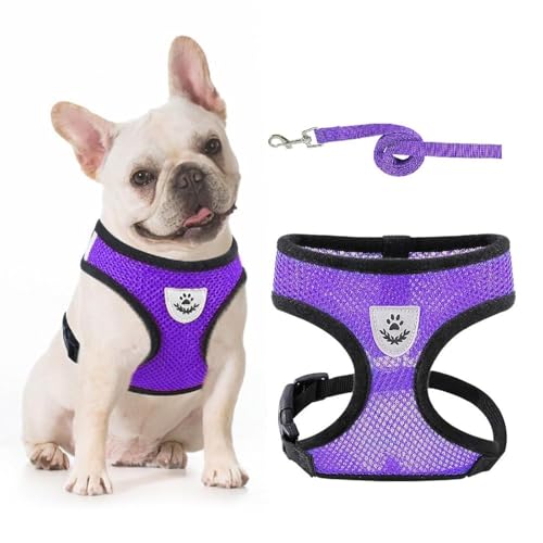 PACCOMFET Pettorina per cani in morbida rete con guinzaglio senza tirare, comoda, imbottita, per piccoli animali domestici, gatti e cuccioli, viola, S