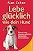 Produktbild Lebe glücklich wie dein Hund: Was wir von unseren geliebten Vierbeinern lernen können