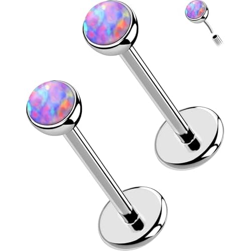 OUFER 2PCS 16G/20G Nose Lip Studs, G23 Solid Titanium Threadless Push in Nose Nostril Lip Labret Medusa Monroe Helix Cartilage Tragus Conch Lobe Piercing Jewelry for Women Men Silver bar,Pur