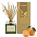 Saussavita Profumatore per Ambienti, Fragranza Bosco di Agrumi, 180 ml Diffusore Profumo Ambiente 120 Giorni di Lunga Durata con Bastoncini per Casa Bagno e Ufficio, Decorazione della Casa immagine