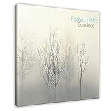 fleetwood mac bare trees lp In den Farboptionen können Sie einen gerahmten Stil auswählen. Bestellen Sie nach Ihren Bedürfnissen.