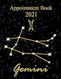  Appointment Book Daily Planner 2021: All of 2021 organized daily with hourly schedule division and in 15 minutes increments from 7am to 8pm for Nail ... with Gemini Zodiacal sign and Starry Sky