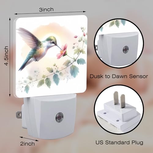 Image of Groovy Hummingbird Flower Night Light for Kids, Watercolor Floral Bird Night Light Plug in with Dusk to Dawn Sensor, 0.5w Energy Saving Sleep Friendly Nightlight for Hallway Stairway Kitchen Bedroom