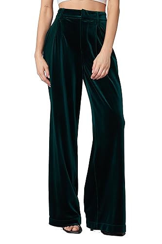 [BLANKNYC] Womens Women's Pleated Velvet Trouser